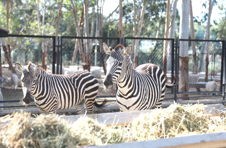 TARSUS DOĞA PARKI VE BARINAKLAR 6 OCAK’A KADAR ZİYARETE KAPALI OLACAK