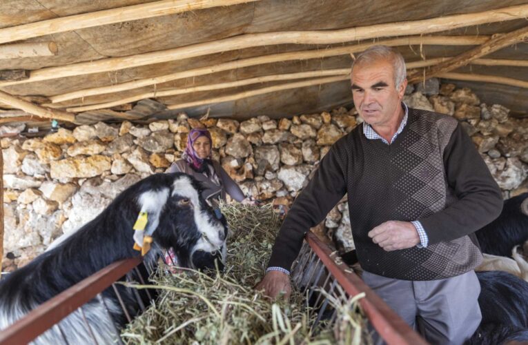 PROJE, ÜNİVERSİTE EĞİTİMİNİ BIRAKAN GENCİN DE UMUDU OLDU