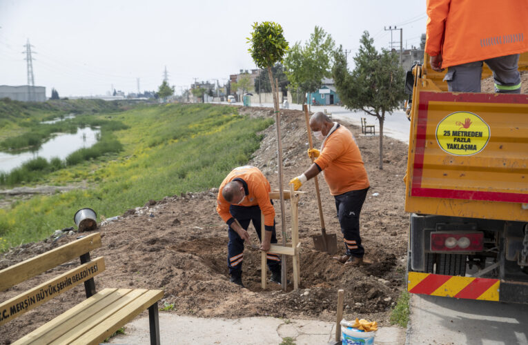 İKİ MAHALLEDE 15 BİN BİTKİ TOPRAKLA BULUŞTURULDU