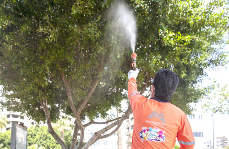 BÜYÜKŞEHİR, YEŞİL AKSAMDAN KAYNAKLI VEKTÖR MÜCADELESİNİ SÜRDÜRÜYOR