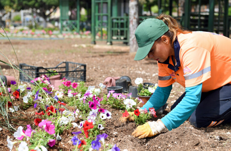 KOOPERATİF BÜNYESİNDEKİ KADINLAR 2 MİLYON ÇİÇEK DAHA YETİŞTİRDİ