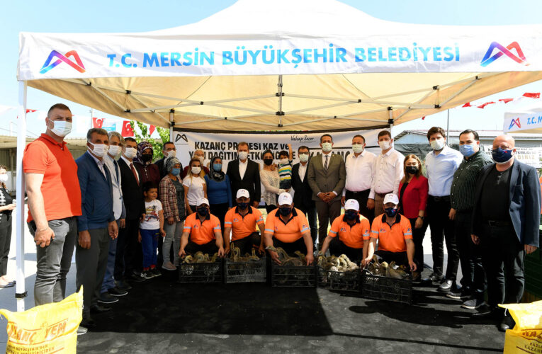 ÜRETİCİLERİN BAHÇELERİNDEN KAZ SESLERİ YÜKSELİYOR