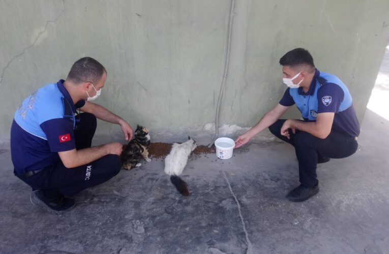 Başkan Gültak; “Uygulama, tam kapanma boyunca devam edecek”