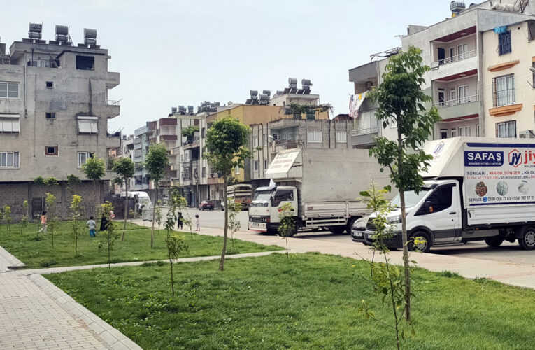 Zeytin ve narenciye ağaçları dikildi