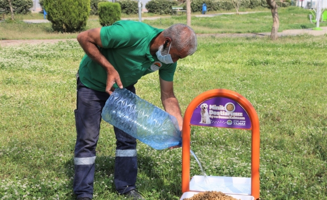 Toroslar Belediyesi, bu zorlu süreçte sokak hayvanlarını unutmadı