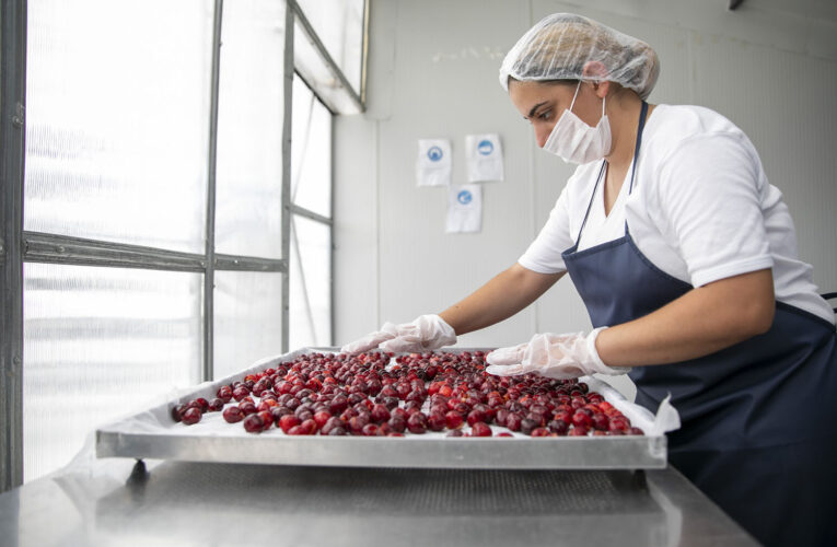 TESİSTE 13’Ü MÜLTECİ TOPLAM 25 KADINA İSTİHDAM SAĞLANDI