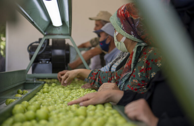 BÜYÜKŞEHİR, 2 KOOPERATİFE BİRER ‘ERİK BOYLAMA MAKİNESİ’ DESTEĞİNDE BULUNDU