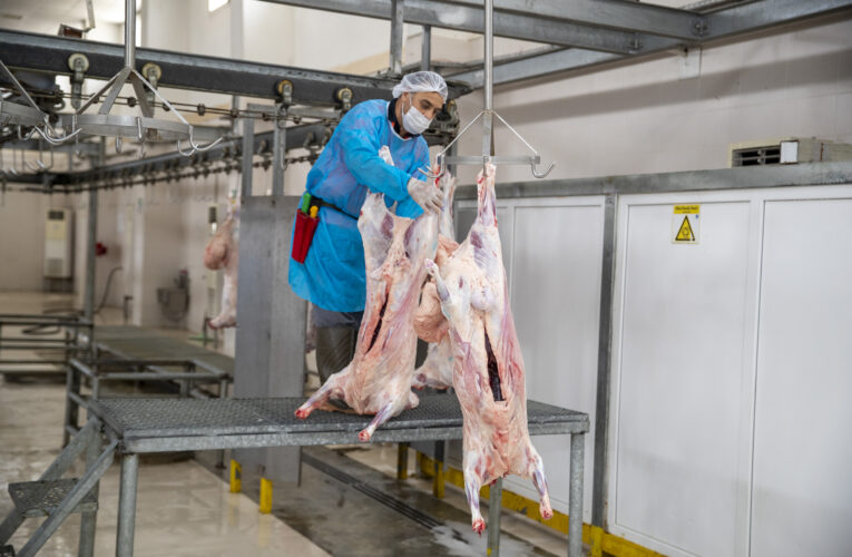 BÜYÜKŞEHİR, TÜM BİRİMLERİ İLE KURBAN BAYRAMI’NA HAZIR