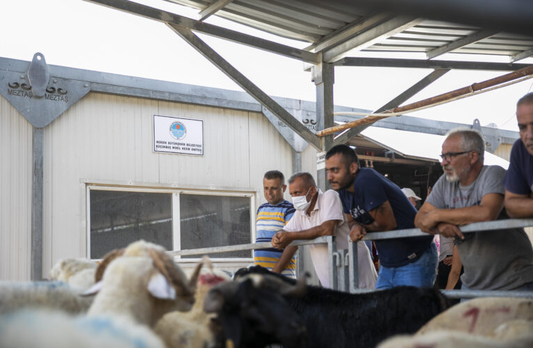 BAYRAMIN İLK GÜNÜ BÜYÜKŞEHİR’İN KESİMHANELERİNE YOĞUN İLGİ