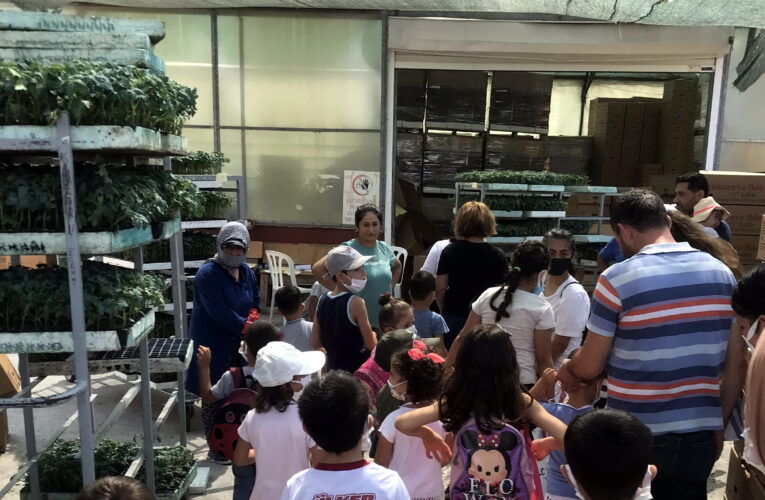 Çocuklar, doğada öğreniyor