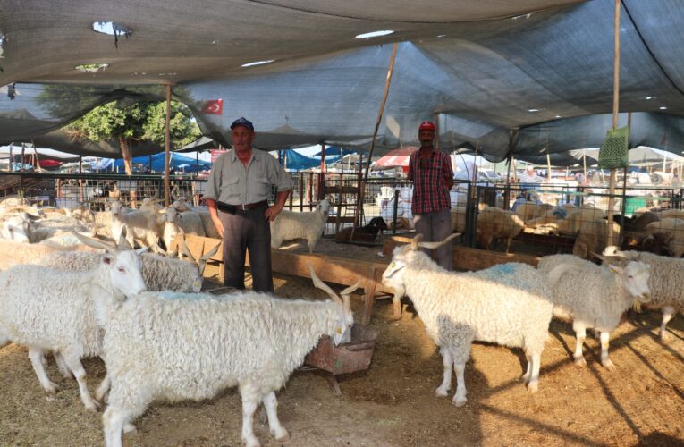 Başkan Yılmaz; “Önceliğimiz Toplum Sağlığını Korumak”