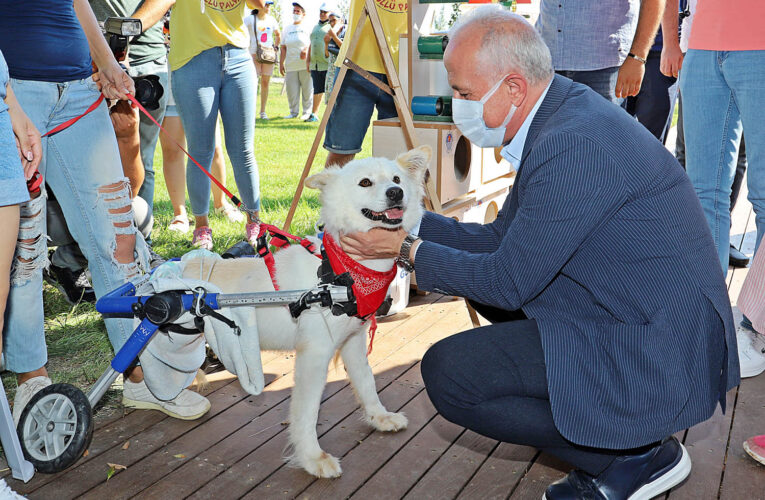 Elde edilecek gelir ile sokak hayvanlarının beslenme ve tedavisi sağlanacak