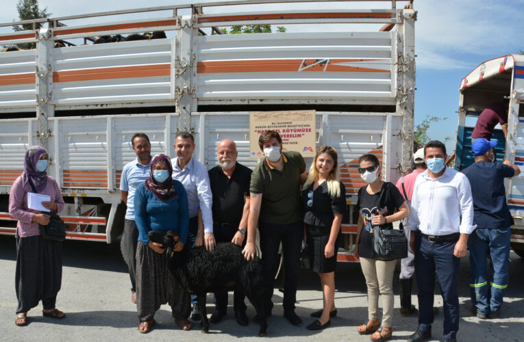 Proje, emin adımlarla ilerliyor