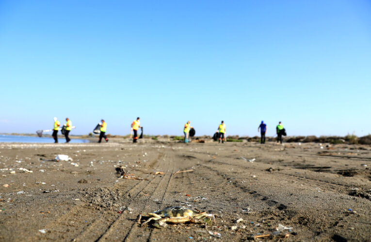 Petrol atıklarının görülme oranı azaldı