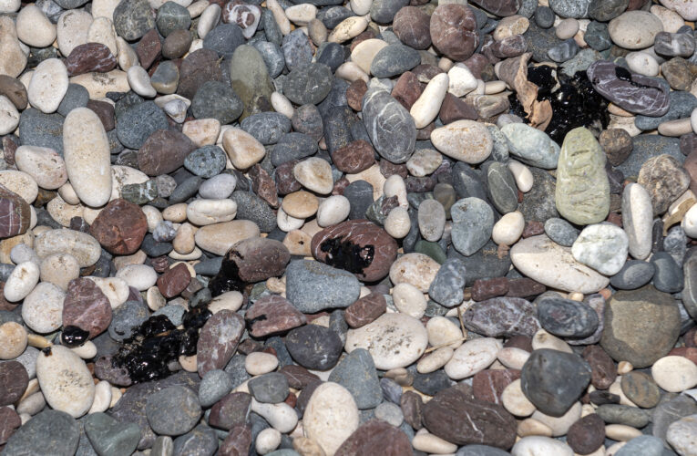 MERSİN’İN DOĞUSUNDA GÖRÜLEN PETROL ATIKLARI BATISINI DA ETKİLEDİ