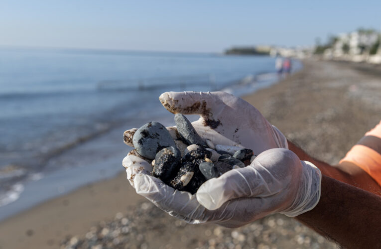 BAŞKAN SEÇER: “SANATTA TORPİLİN OLMAYACAĞINI BU UYGULAMALAR GÖSTERİYOR”