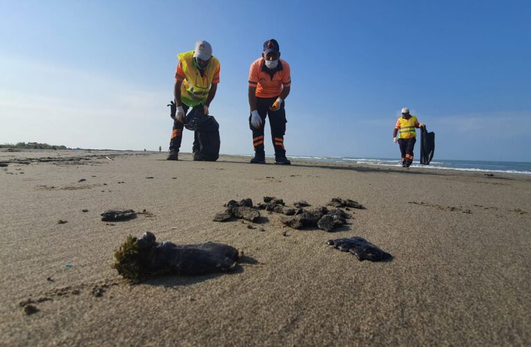 BÜYÜKŞEHİR’İN ÇEVRE KORUMA EKİPLERİ TEYAKKUZDA