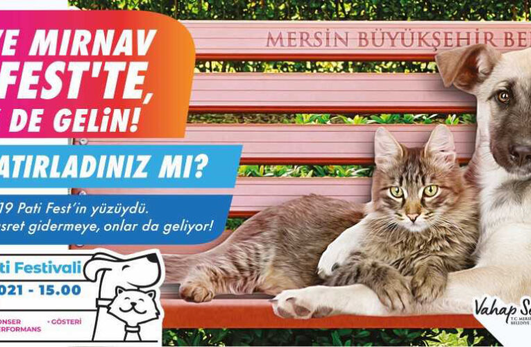 Etkinlik, Kaşlı Geçici Bakımevi’nde patili dostların beslenmesi ile başlayacak