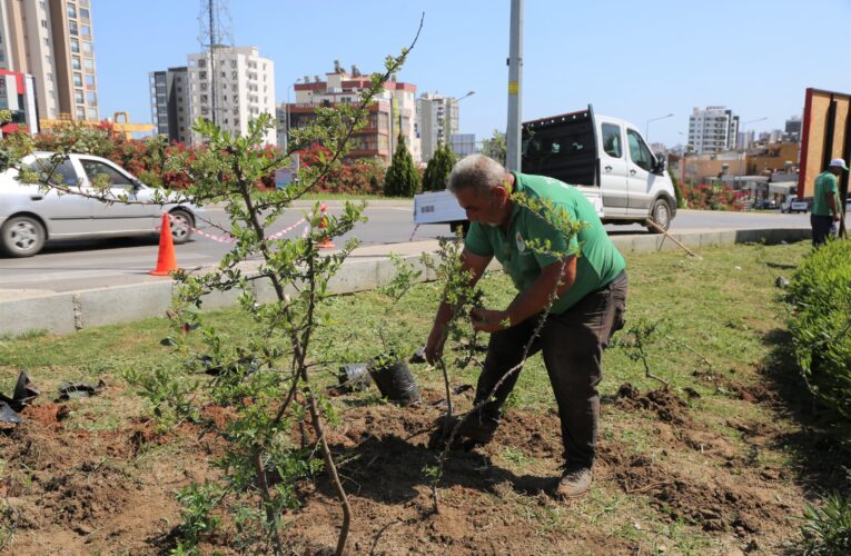 “İlçemizdeki Yeşil Alanları Koruyor, Sayılarını Daha da Artırıyoruz”