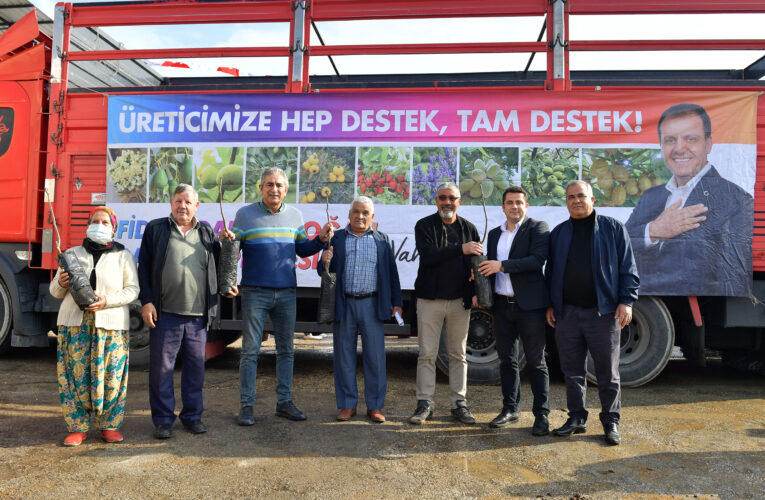 KENT GENELİNDEKİ ÜRETİCİLERE TOPLAM 19 BİN CEVİZ FİDANI