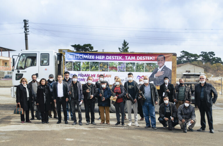 CEVİZLER TOPRAKLA, ÜRETİCİLER DESTEKLE BULUŞUYOR