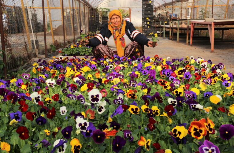 Belediye hem tasarruf ediyor hem bütçeye katkı sağlıyor