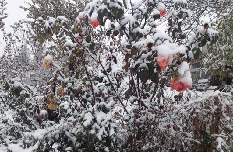 TOROSLAR’A MEVSİMİN İLK KARI DÜŞTÜ