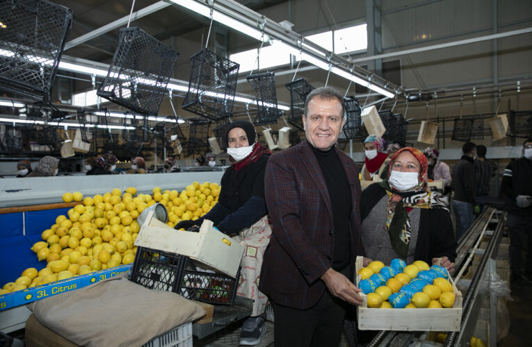 “ÜRETİCİLERİMİZLE KONTAK KURDURUP, LİMONLARIMIZI TÜRKİYE’NİN HER TARAFINA GÖNDERME İMKANIMIZ VAR”