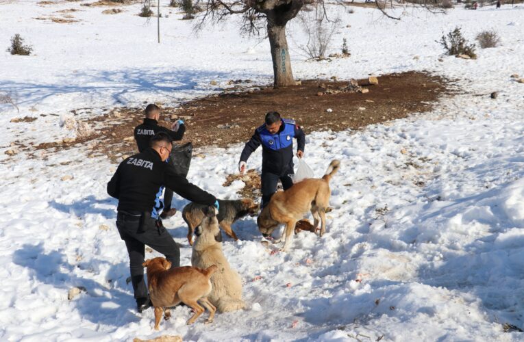 Başkan Yılmaz: “Can Dostlarımız Yalnız Değil”