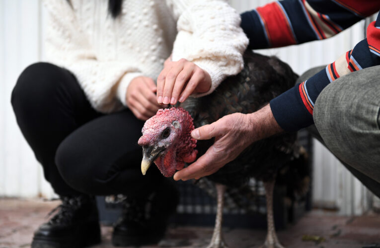BÜYÜKŞEHİR, SEMA NUR DOĞAN’IN HİNDİ TALEBİNİ YERİNE GETİRDİ