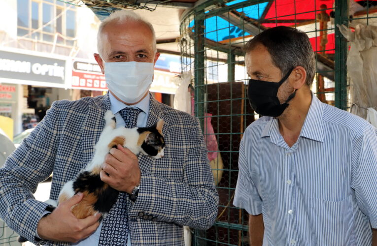 “Dünyayı paylaştığımız sessiz dostlarımıza sahip çıkalım”