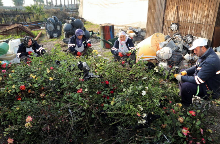 FİDANLIK ÜRETİYOR, AKDENİZ BAHARA HAZIRLANIYOR