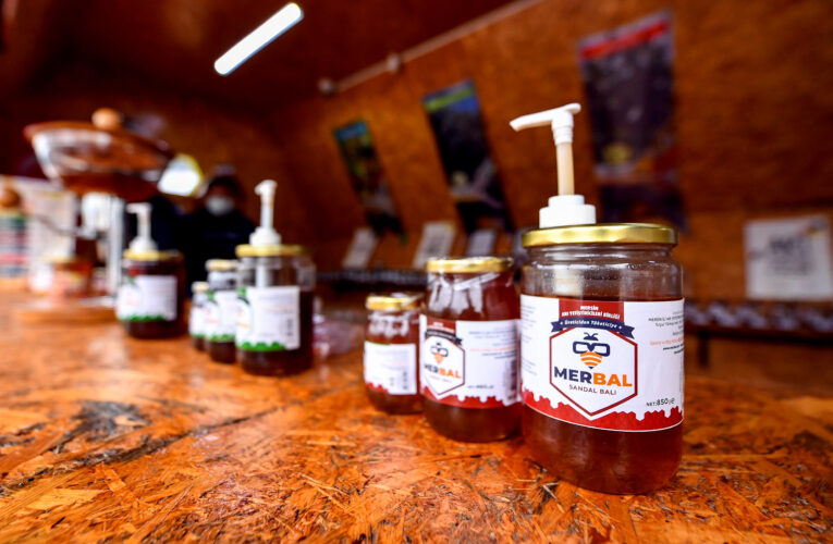 BAL EVİ YENİŞEHİR VE TARSUS’UN ARDINDAN YAKINDA MEZİTLİ’DE