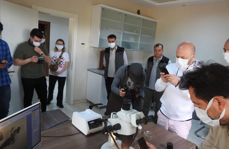 İnfluencer misafirler bilgilendirildi