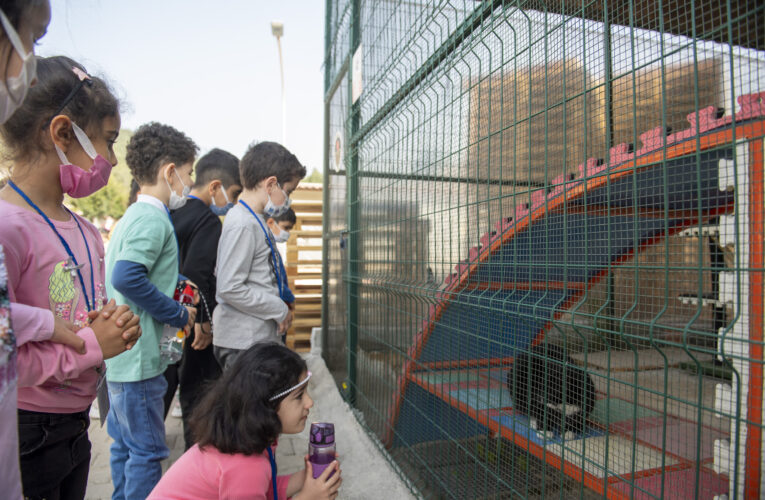 İlk etkinlik Kaşlı Geçici Bakımevi’nde oldu