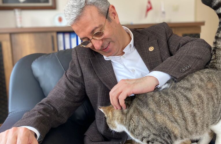 ‘HAYVANLARI SATIN ALMAYIN SAHİPLENİN’