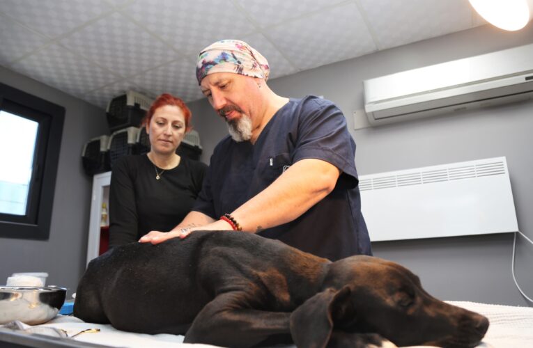 “SÜTTEN KESİLENE KADAR BEKLEDİK”