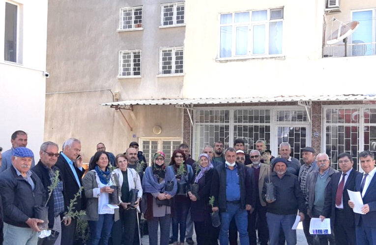 ERDEMLİ’DE 91 ÜRETİCİ AVOKADO, 26 ÜRETİCİ İSE ALIÇ FİDANI ALDI