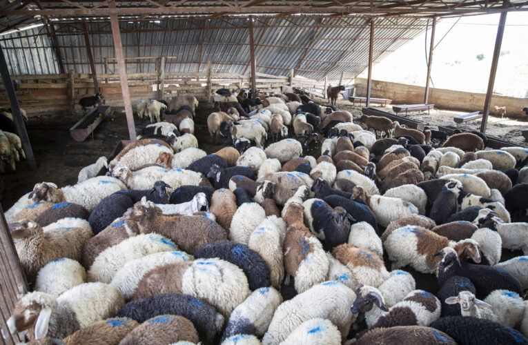 YÖRÜK VATANDAŞLAR ALDIKLARI HİZMETTEN MEMNUN