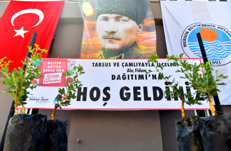 BEREKETİN SİMGESİ ALIÇ FİDANLARI, TARSUS VE ÇAMLIYAYLA ÜRETİCİLERİNE DE DAĞITILDI