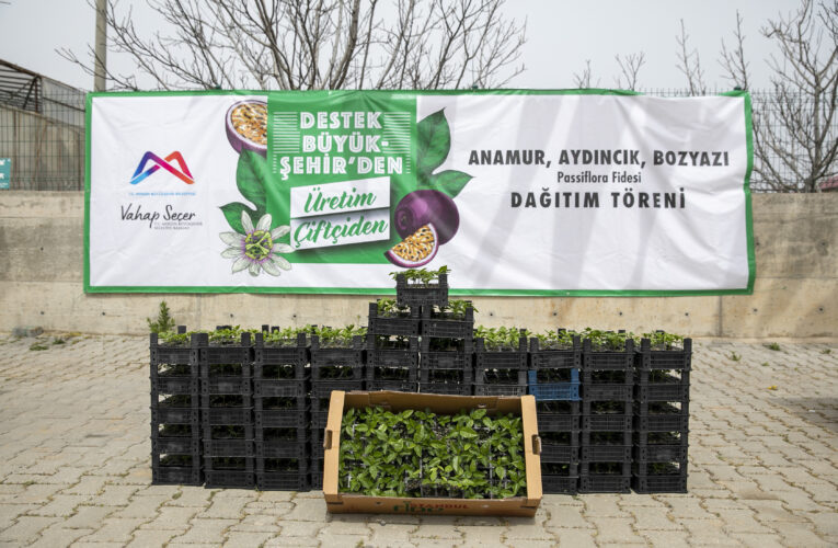 ANAMUR, AYDINCIK VE BOZYAZI’DAKİ ÜRETİCİLERE PASSİFLORA FİDELERİ DAĞITILDI