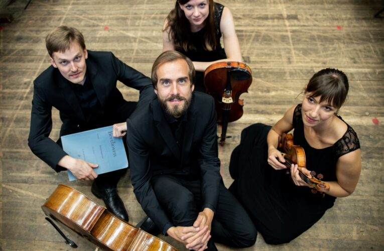 Viener Klavier Quartett Mersinli sanatseverlerle buluşuyor