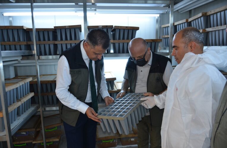 Biyolojik mücadelede hedeflerimizi aştık