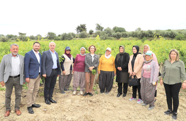 “GENEL BİR BORÇLANMA İSTEMEDİM”