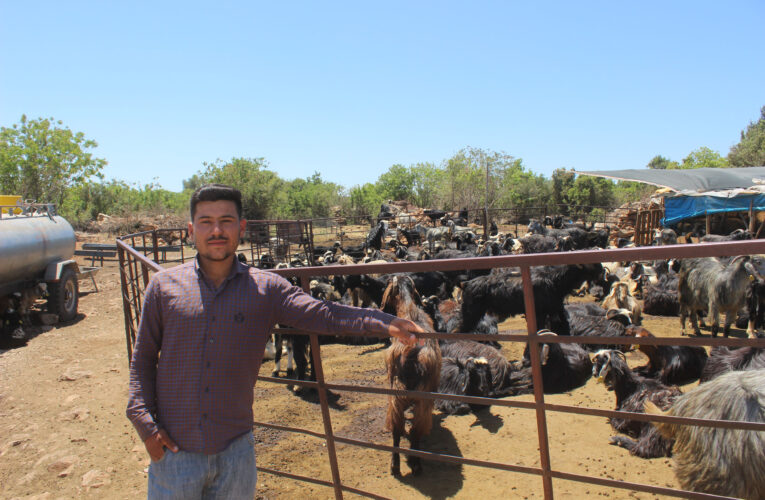 BÜYÜKŞEHİR, HAVANIN ISINMASIYLA KIRSALDA ASFALT ATAĞINA YENİDEN BAŞLADI