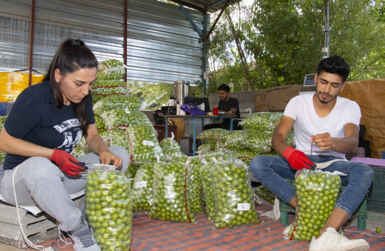 MERSİN BÜYÜKŞEHİR’İN 2022 YILI EKİPMAN DESTEĞİ SÜRÜYOR