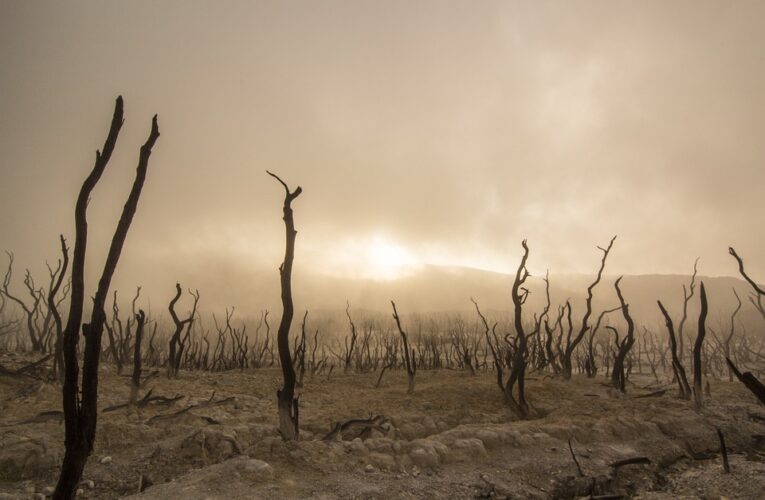 ‘Net sıfır hedefi nükleersiz olamaz’