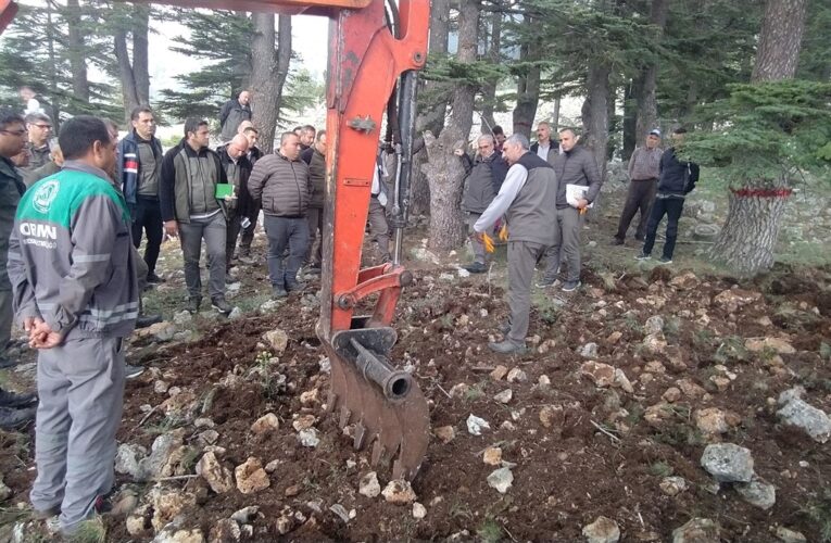 Mersin’de sedir ve karaçam gençleştirme tatbikatı yapıldı