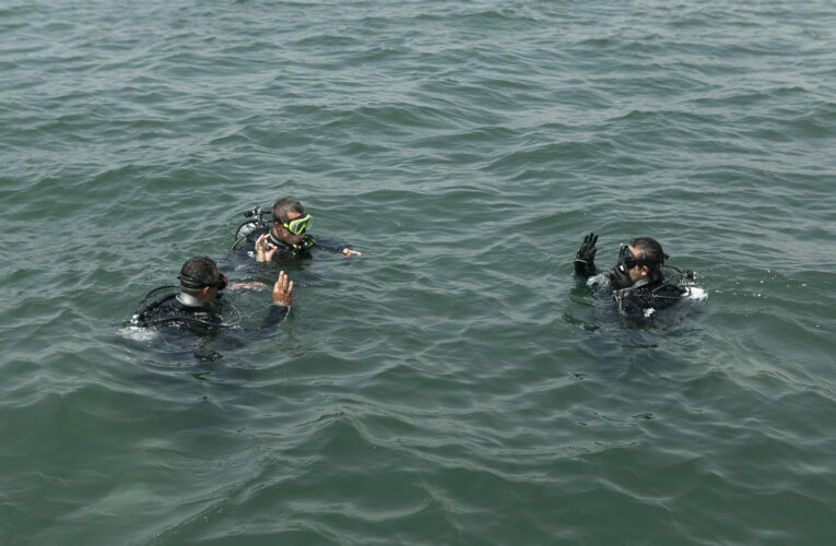 DENİZ CANLILARININ YENİ BARINMA, BESLENME VE ÜREME NOKTASI YAPAY RESİFLER OLDU