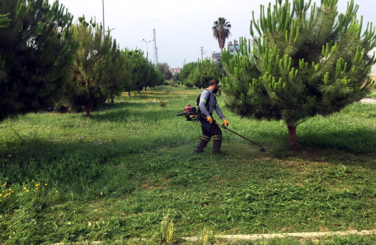 AKDENİZ’DE PARK VE YEŞİL ALANLAR YENİLENİYOR